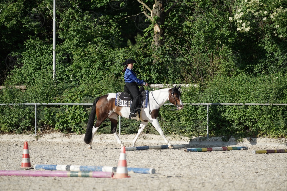 s_APF07069.jpg